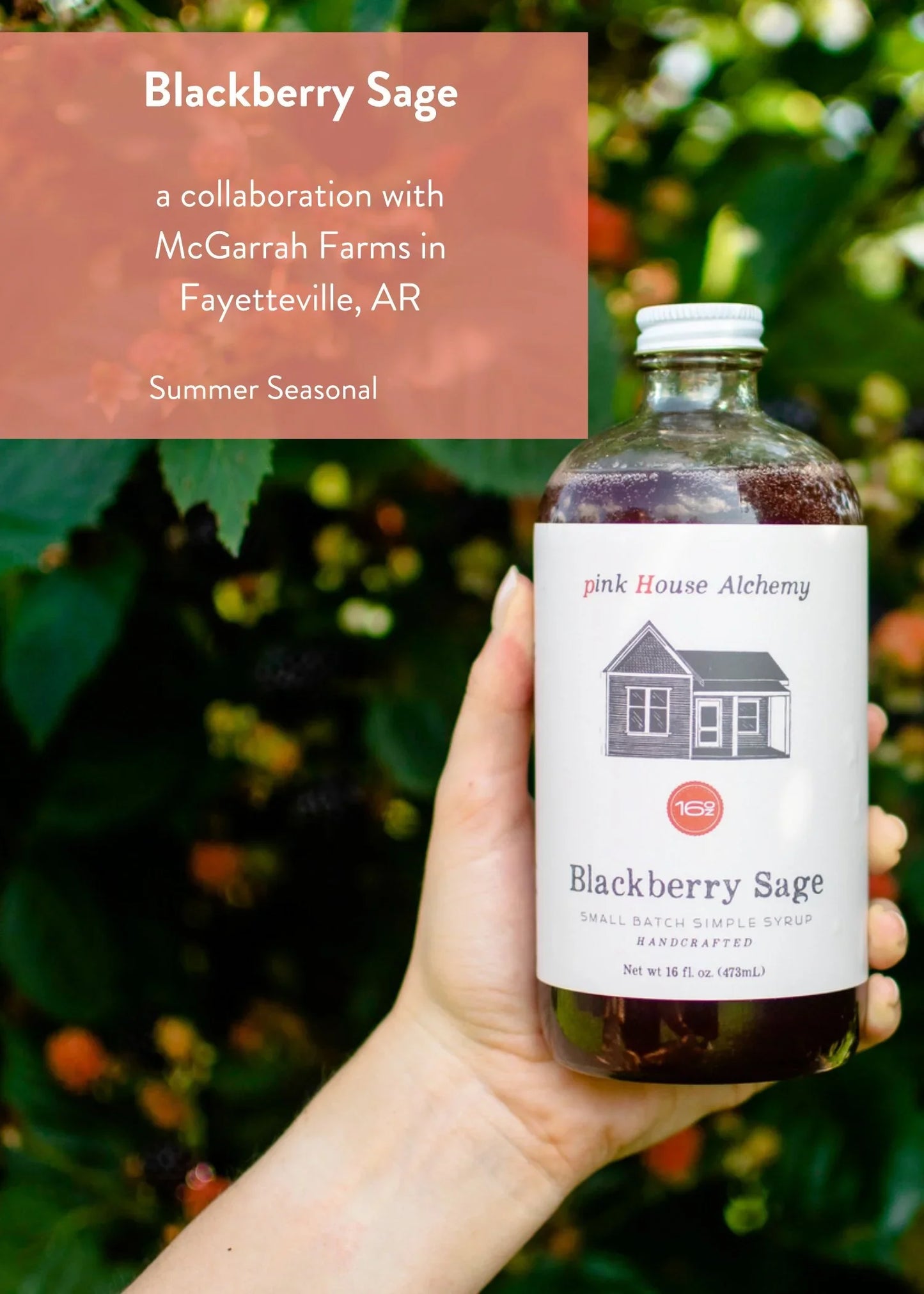 Pink House's Blackberry Sage Recipes!