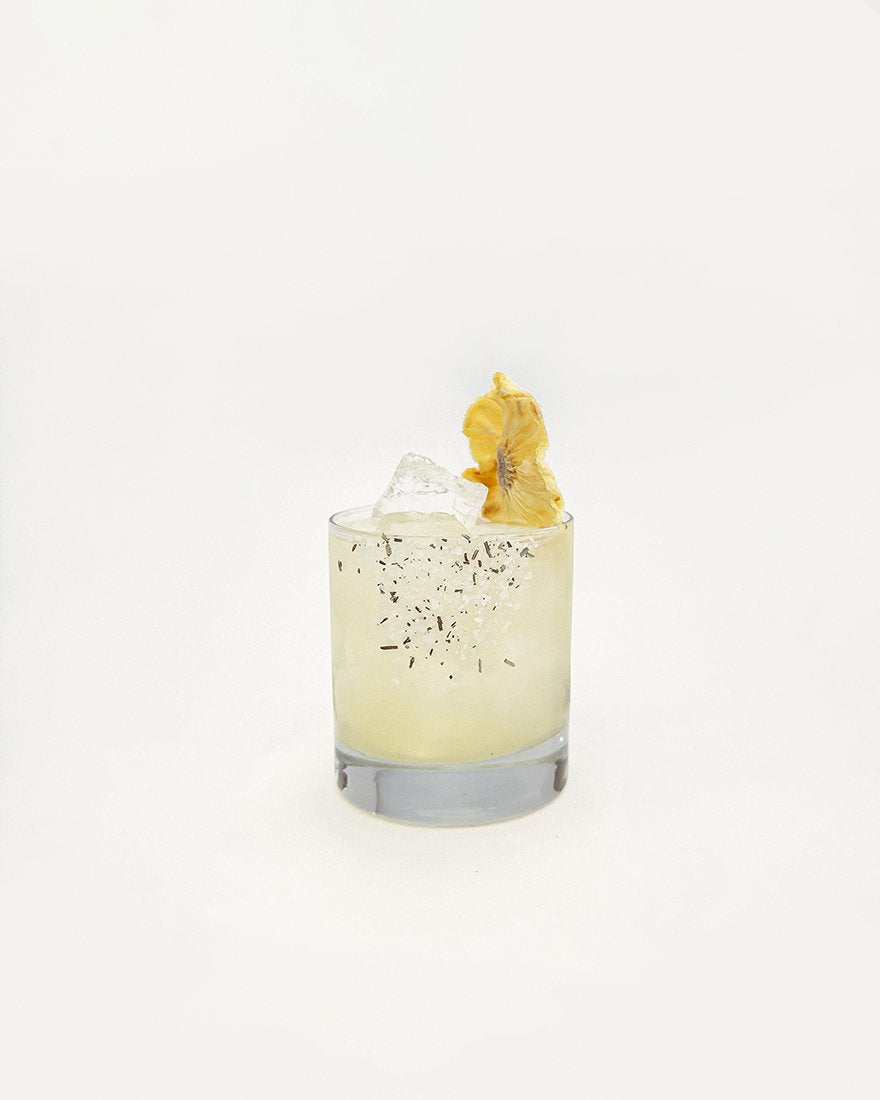 Daisy Margarita Kit